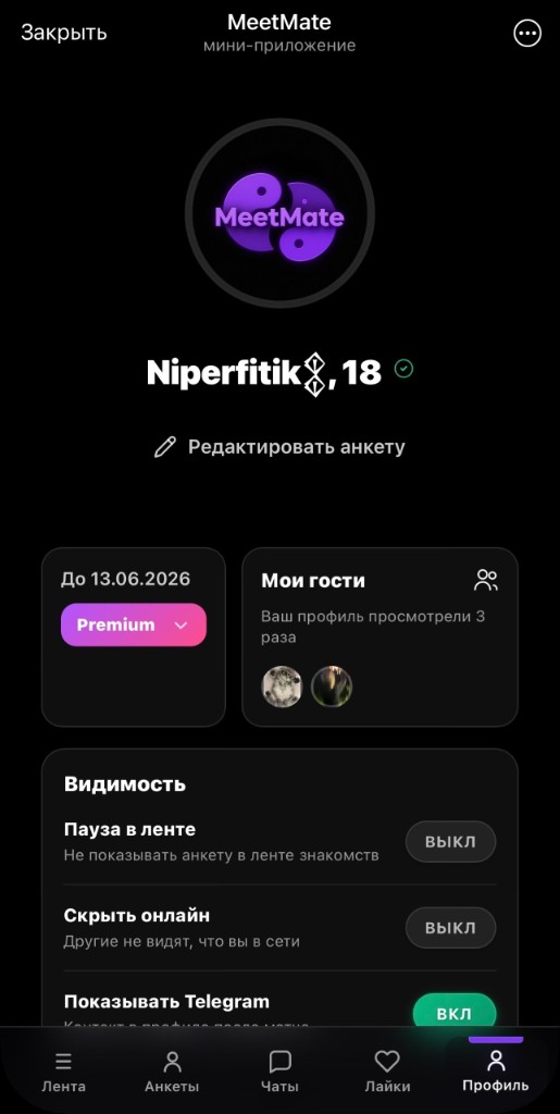 Интерфейс MeetMate: профиль